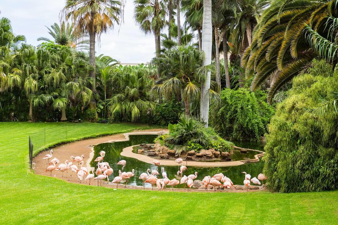 Parque Loro